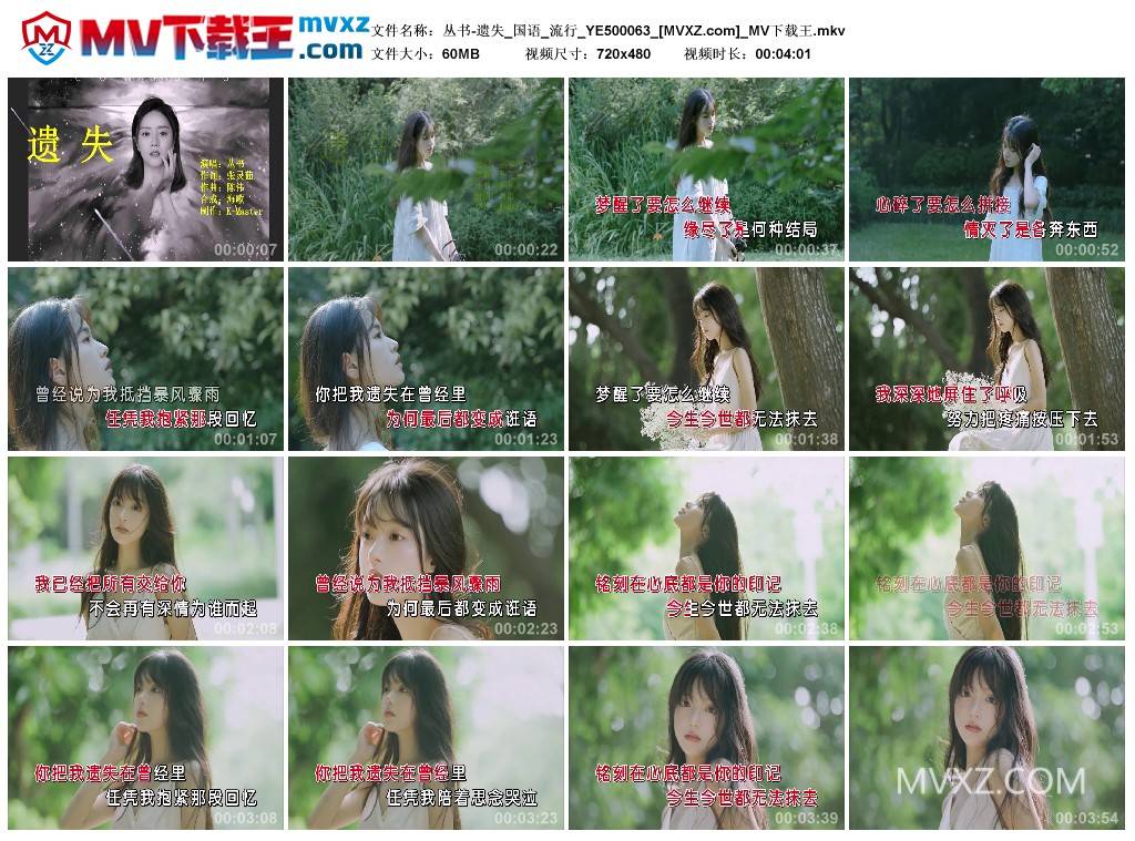 丛书-遗失_国语_流行_YE500063